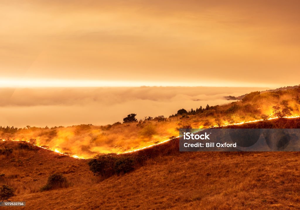 Wildfire on California coast - Sonoma County by ocean with view above marine layer. Forest Fire Stock Photo