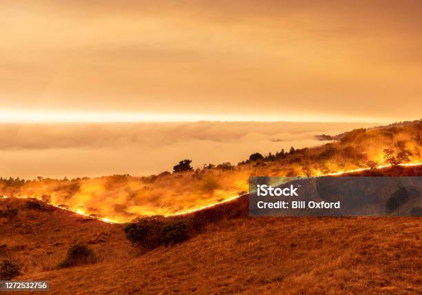 Wildfire On California Coast Sonoma County By Ocean With View Above Marine Layer Stock Photo - Download Image Now