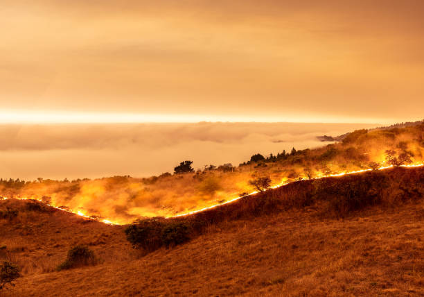 лесной пожар на побережье калифорнии - округ сонома у океана с видом над морским слоем. - sonoma county california coastline northern california стоковые фото и изображения