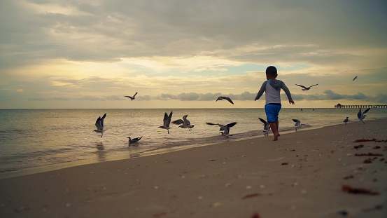 Cuban little boy chasing birds