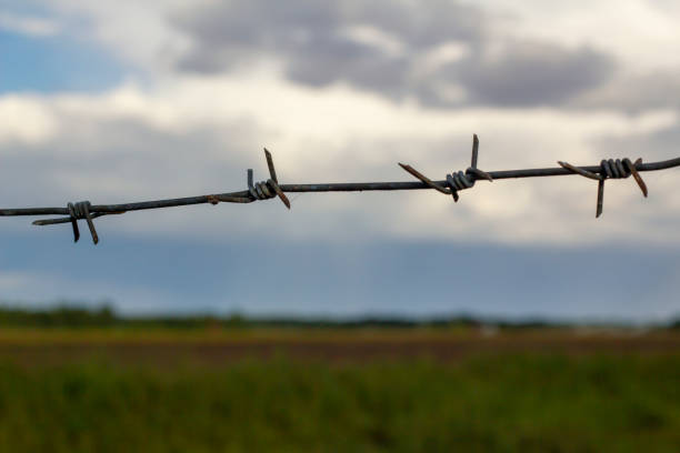 istock Barbed wire on a background of blue sky. Problems of migrants. Social problems. 1272537772