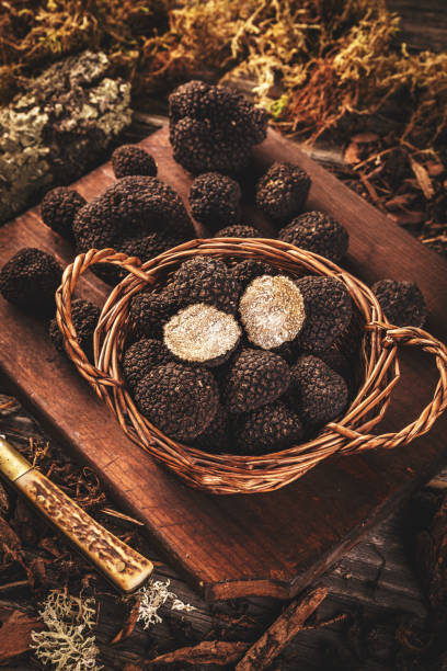 istock Expensive black truffles gourmet mushrooms 1272538743
