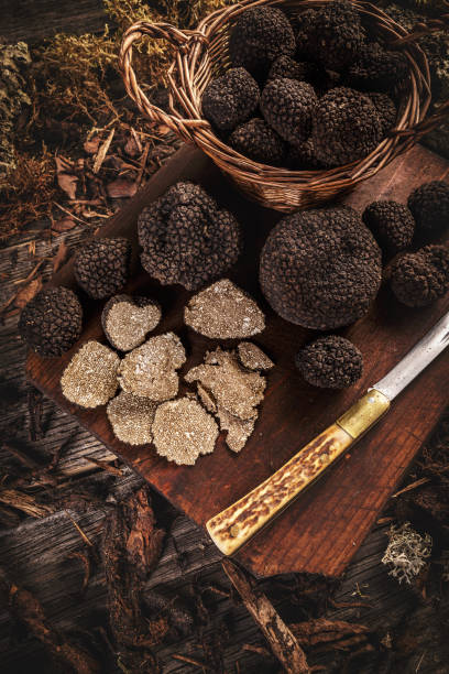 istock Delicacy black truffles 1272539350