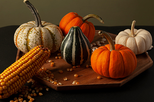 pumpkins, squashes and gourds ,  dried a corn cob with kernels and dried beans were randomly spread on a wooden plate on a  black background. Ideal image for fall harvest, halloween, thanks giving themes.