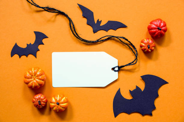 White Label With Copy Space. Halloween Decoration Like Bat. Autum Pumpkin Decoration On Orange Background