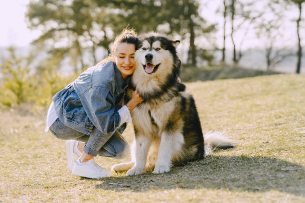 istock Stylish girl in a spring field with a dog 1272544383