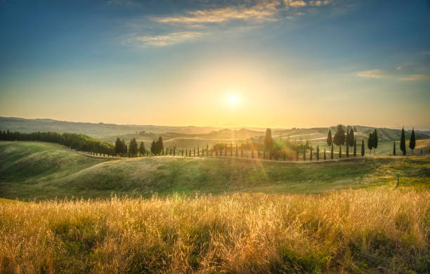 istock Certaldo canonica park at sunset. Florence, Tuscany, Italy 1272545388