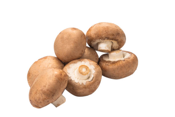 istock Tasty mushroom isolated on white background. 1272547647