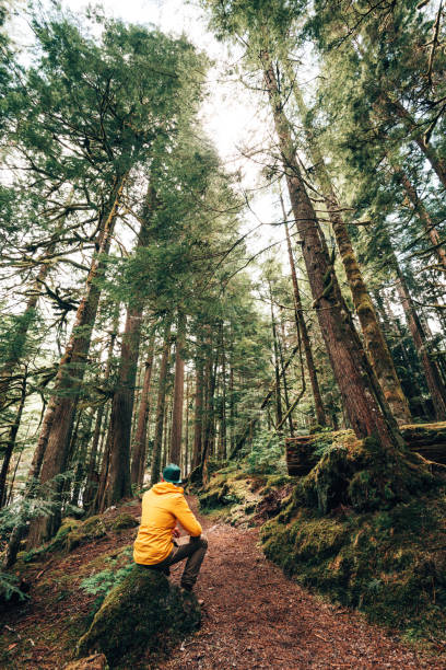 istock man in the forest taking pictures 1272551496
