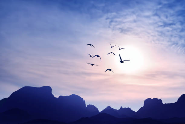 istock Birds fly into sunset in the blue mountains 1272551571