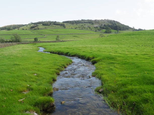 istock Green pastures in the Yorkshire Dales 1272551859