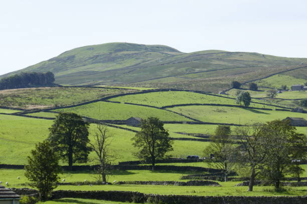 istock Green landscape in the Yorkshire Dales 1272552688