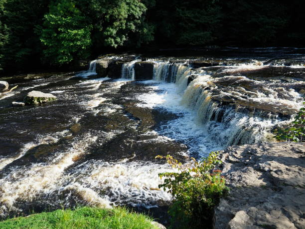 istock Aysgarth falls in the Yorkshire Dales 1272552745