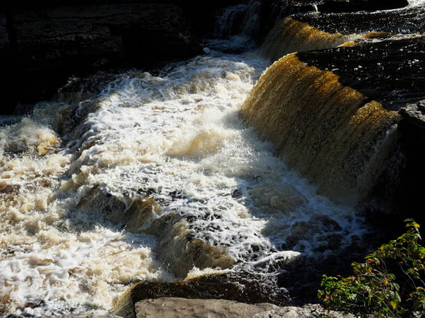 istock Aysgarth falls in the Yorkshire Dales 1272552747