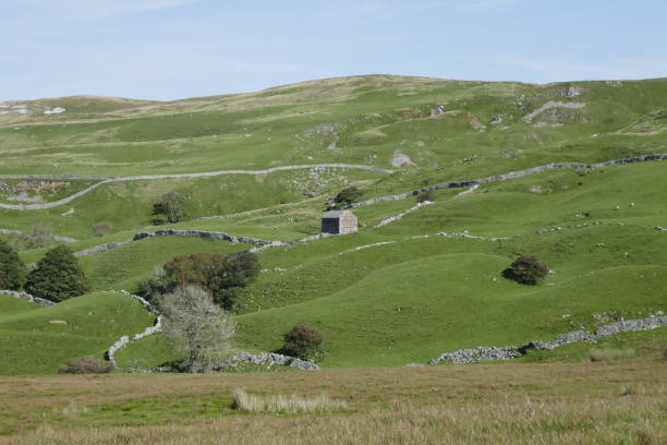 istock Fodder winter barns in the Yorkshire Dales 1272552750
