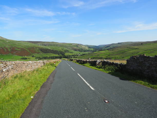 istock Green pastures in the Yorkshire Dales 1272552868