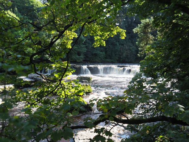 istock Aysgarth falls in the Yorkshire Dales 1272552929
