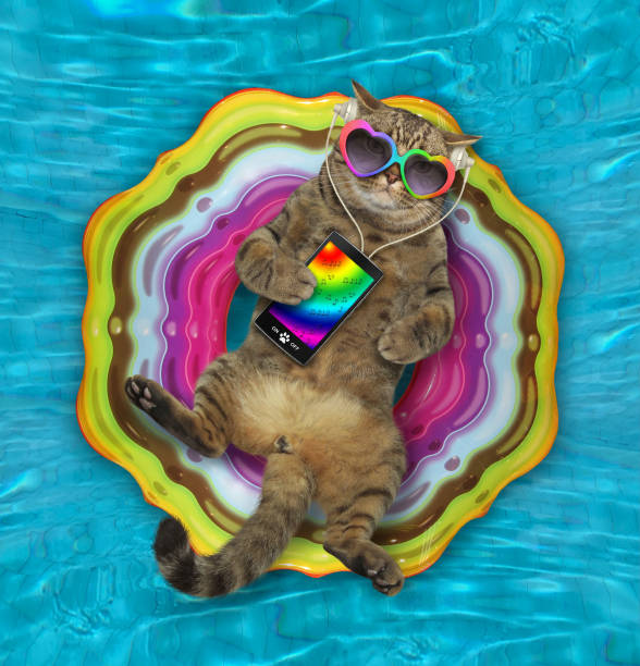istock Cat listens to music on ring in pool 1272552964