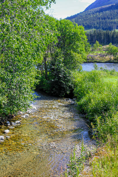 istock Flowing beautiful river lake Hemsila with mountain panorama, Hemsedal, Norway. 1272553156