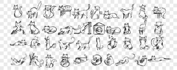 illustrations, cliparts, dessins animés et icônes de ensemble de doodle de chats - animal fur domestic cat persian cat