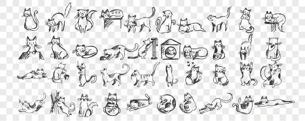 Cats doodle set Cats doodle set. Collection of hand drawn pencil sketches templates patterns of adorable pets kitten kitty sleeping stretching playing with ball hiding in box or basket. Illustration dmestic animals. kitten wallpaper stock illustrations