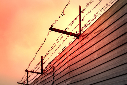 Barbed wire mesh at sunset