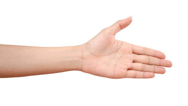 istock Hand reach and ready to help or receive. Gesture isolated on white background with clipping path. 1272559278