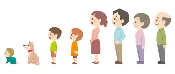 Vector illustration of Illustration of a three-generation family lined up side by side