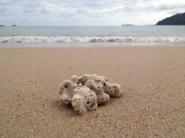 istock Beautiful beach along road. 1272563808