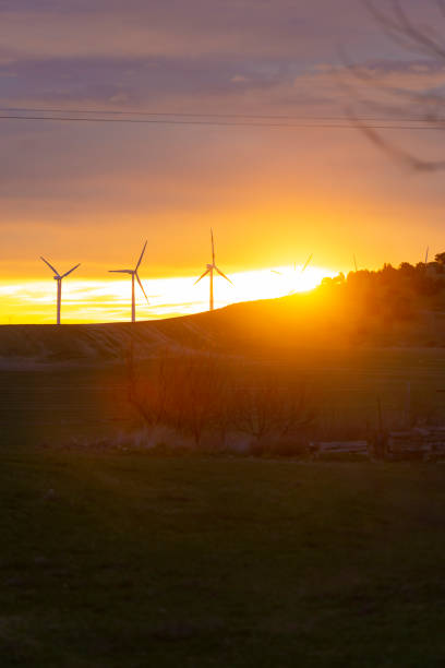 istock Wind Turbines in field against sunset sky, Spain 1272564006
