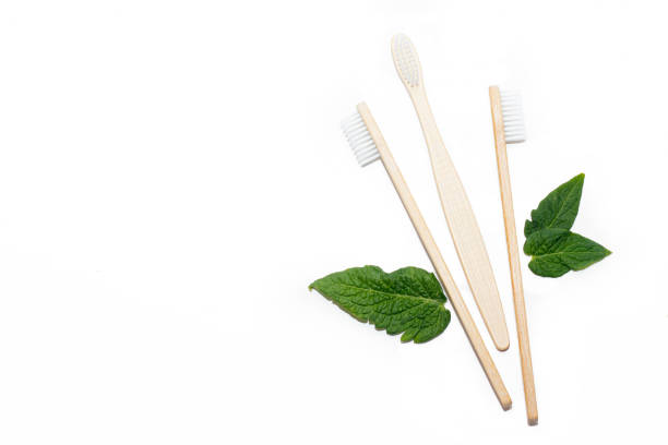 istock Bamboo toothbrush and green leaves on an isolated background. Tooth cleaning. Article about choosing a toothbrush. Article about dental care. Bath accessories. Collection on vacation. Natural material. Eco-products. No plastic surgery. Copy space. 1272565498