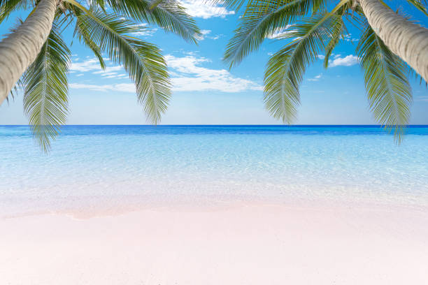istock White beach and blue sea Summer background for product placement. 1272567446