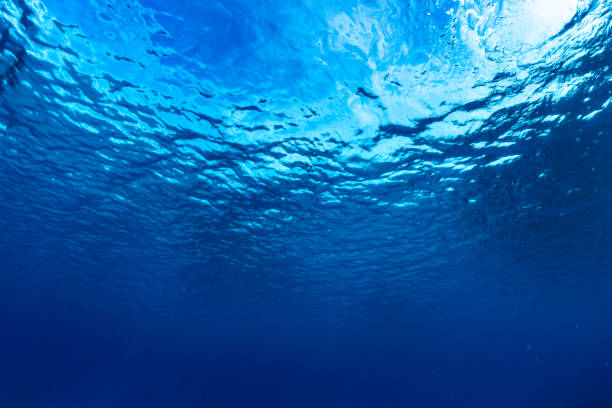 istock Underwater of tropical, sun rays passing through water. 1272567757