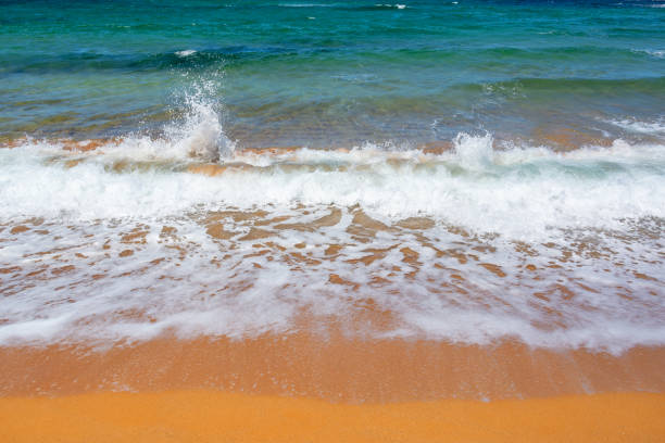 istock Waves on a beach with orange sand and blue water 1272568861
