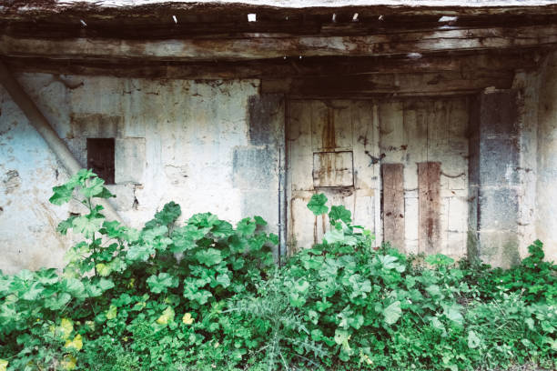 istock old ruined house with grassy entrance 1272571024