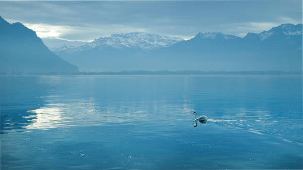 istock Overcast mountain scenery view over the Lake Geneva 1272573367