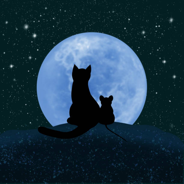 istock Cat and mouse looking at the moon and the starry sky 1272573424