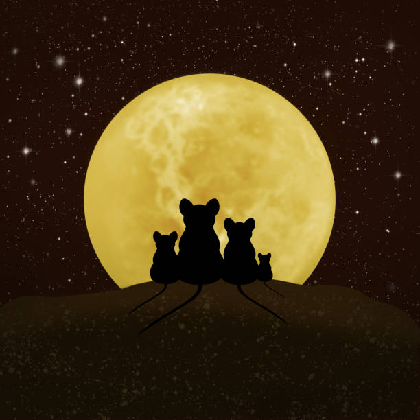 istock Family of mice looking at the moon and the starry sky 1272573433