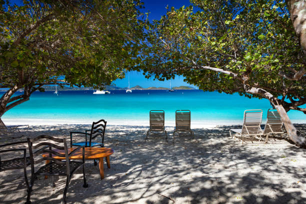 istock beautiful tropical beach in the Caribbean 1272573458