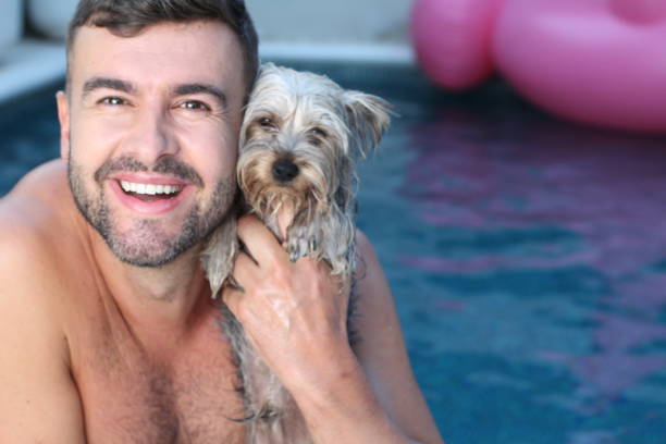 homem com seu cachorro na piscina - underwater dog adult happiness - fotografias e filmes do acervo