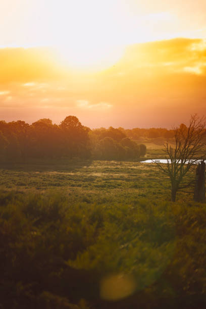 Sunset with Lake View Sunset with Lake View richmond park stock pictures, royalty-free photos & images