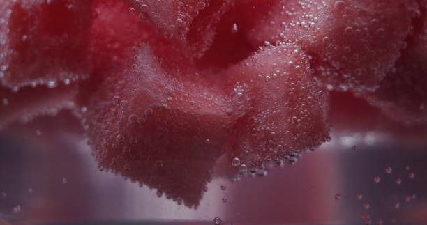 istock Watermelon detox water 1272576907