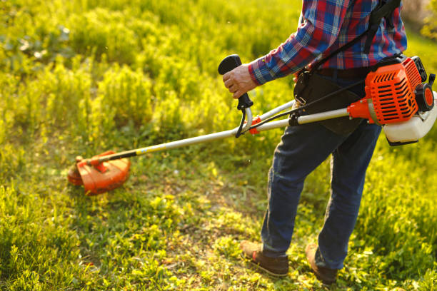 istock mowing trimmer - worker cutting grass in green yard at sunset 1272577721