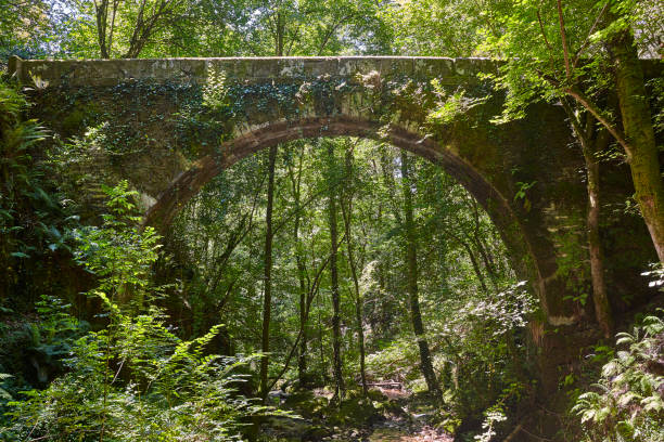 Ancient stone bridge sorrounded by nature. Fragas Eume river. Spain