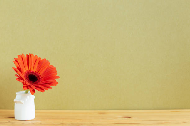 カーキの背景を持つ木製のテーブルの上の花瓶にオレンジガーベラの花。コピースペース - flower sparse single flower gerbera daisy ストックフォトと画像