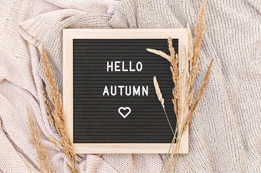 Autumnal Background. Black letter board with text phrase Hello Autumn and dried plant lying on white knitted sweater. Top view flat lay. Thanksgiving banner. Hygge mood cold weather concept