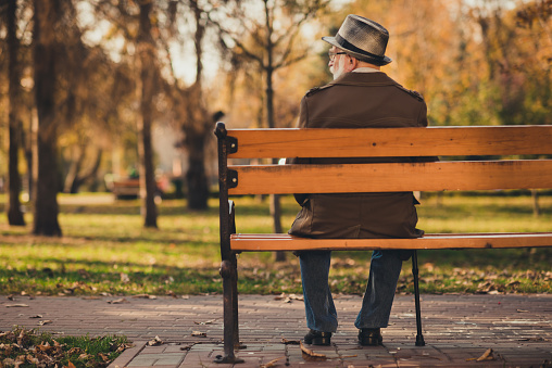 Rear back behind view photo of old white haired grandpa husband, street walk lonely sit bench with stick sad miss wife widower wear glasses jacket cap autumn city empty deserted park outside