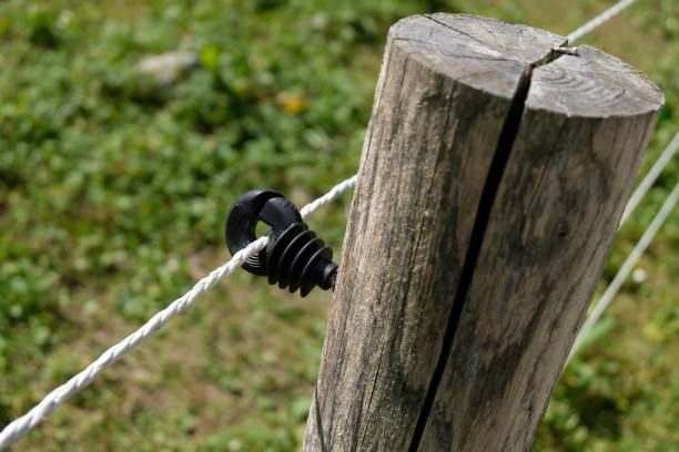 istock Electric fence 1272581350