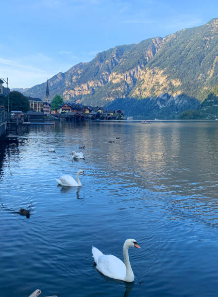 istock Hallstatt town and Hallstatt lake in summer time 1272581452