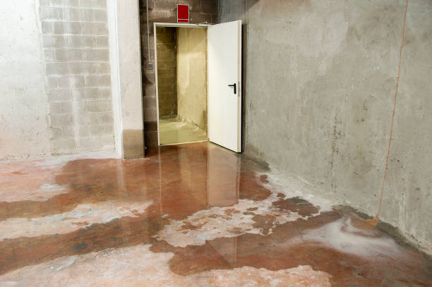 water damage in basement caused by sewer backflow - home damage imagens e fotografias de stock